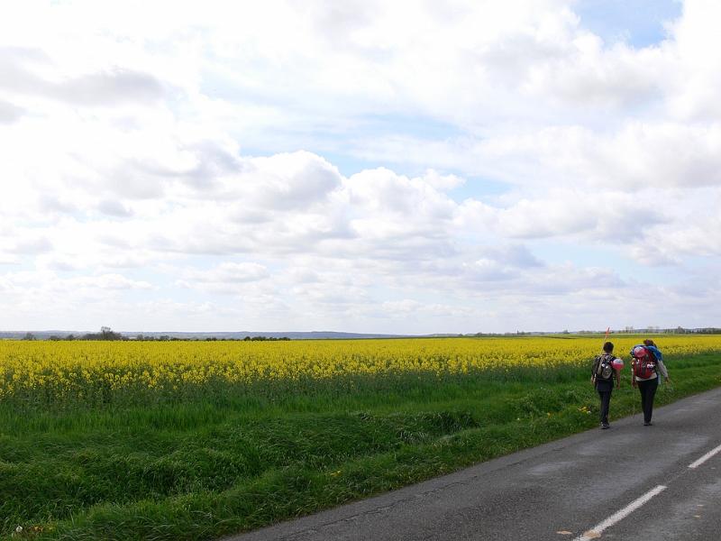 Mont Saint Michel 2010 - 138.jpg